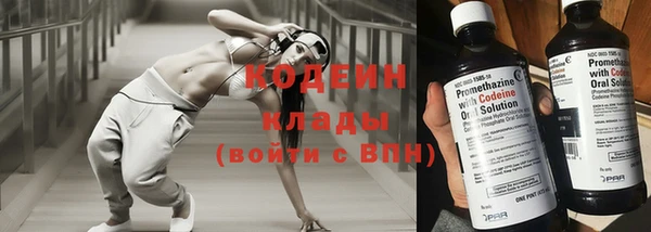 эйфоретик Арсеньев