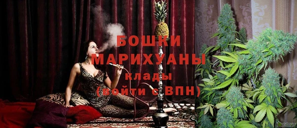 эйфоретик Арсеньев