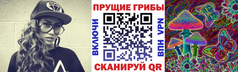 где можно купить   Курган  Галлюциногенные грибы мухоморы 