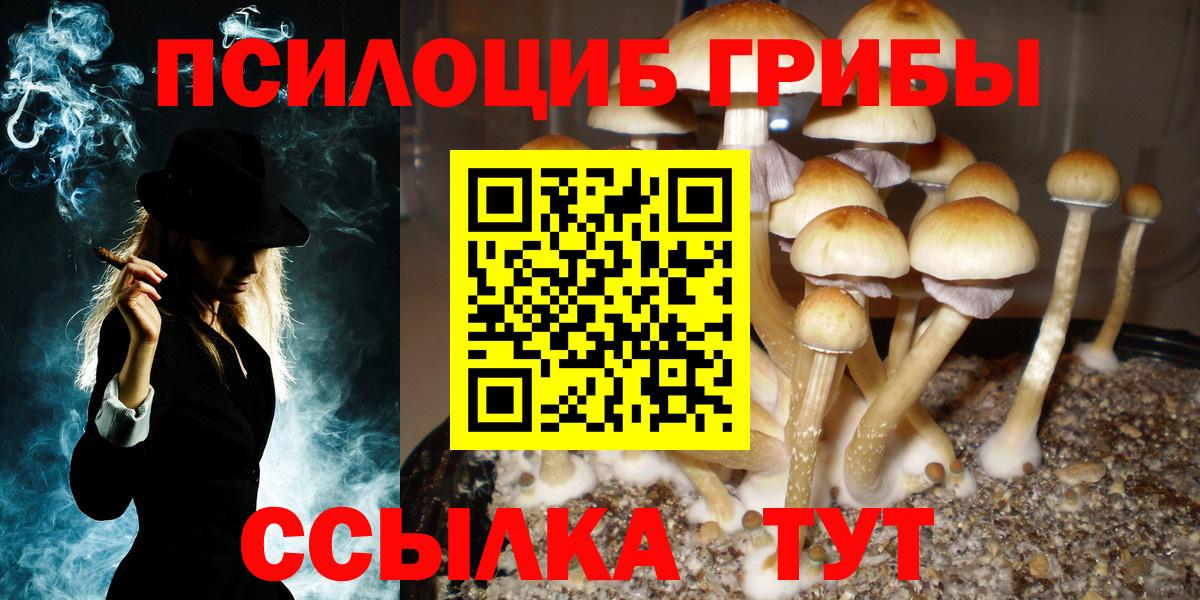 Псилоцибиновые грибы мухоморы Курган