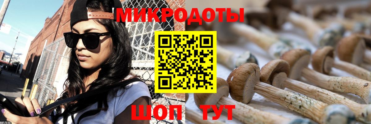 Курган  Псилоцибиновые грибы мицелий  Псилоцибиновые грибы мухоморы  Вход с VPN 